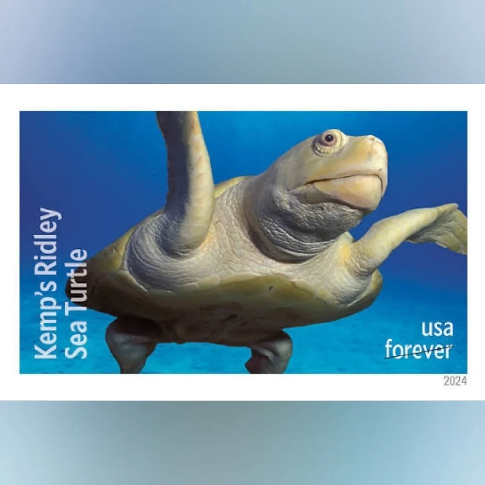 90 Protect Sea Turtles Forever Postage Stamps USPS‎ Wedding Invitations 2024